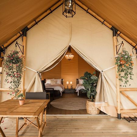 فندق Mia Glamping Orissaare المظهر الخارجي الصورة